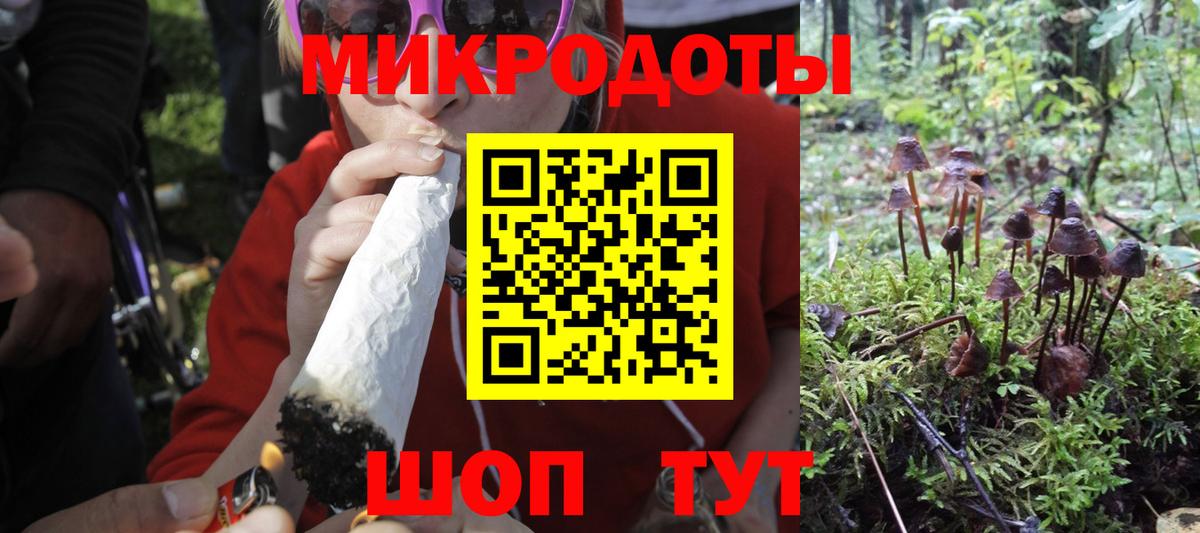 Ухта  Псилоцибиновые грибы мухоморы  Вход с VPN 